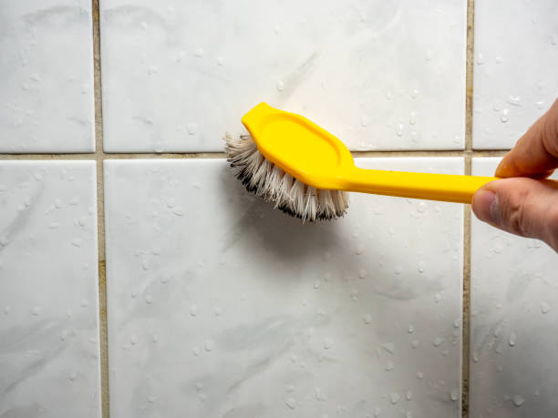 Best Mold Remediation  in Marion, VA