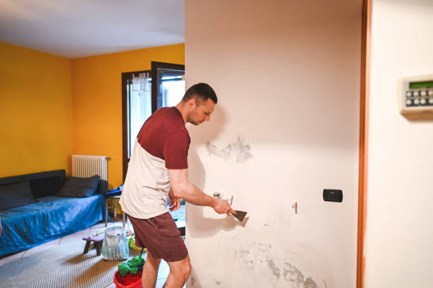 Best Mold Damage Repair  in Marion, VA