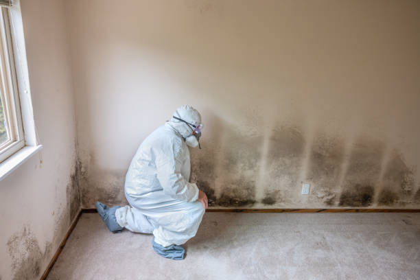 Best Office Mold Removal Services  in Marion, VA