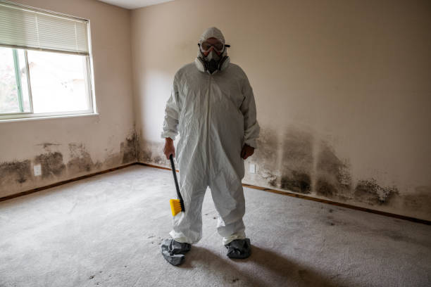 Office Mold Removal Services in Marion, VA